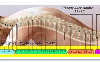 Спина болит что это с психологической точки зрения