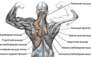 Что надо делать чтобы мышцы спины не болели