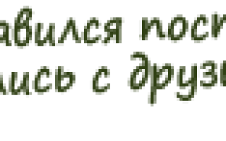 Морозит болит голова давление