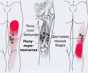 Болит точка на спине сзади