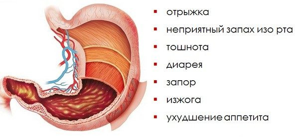 При переедании болит спина